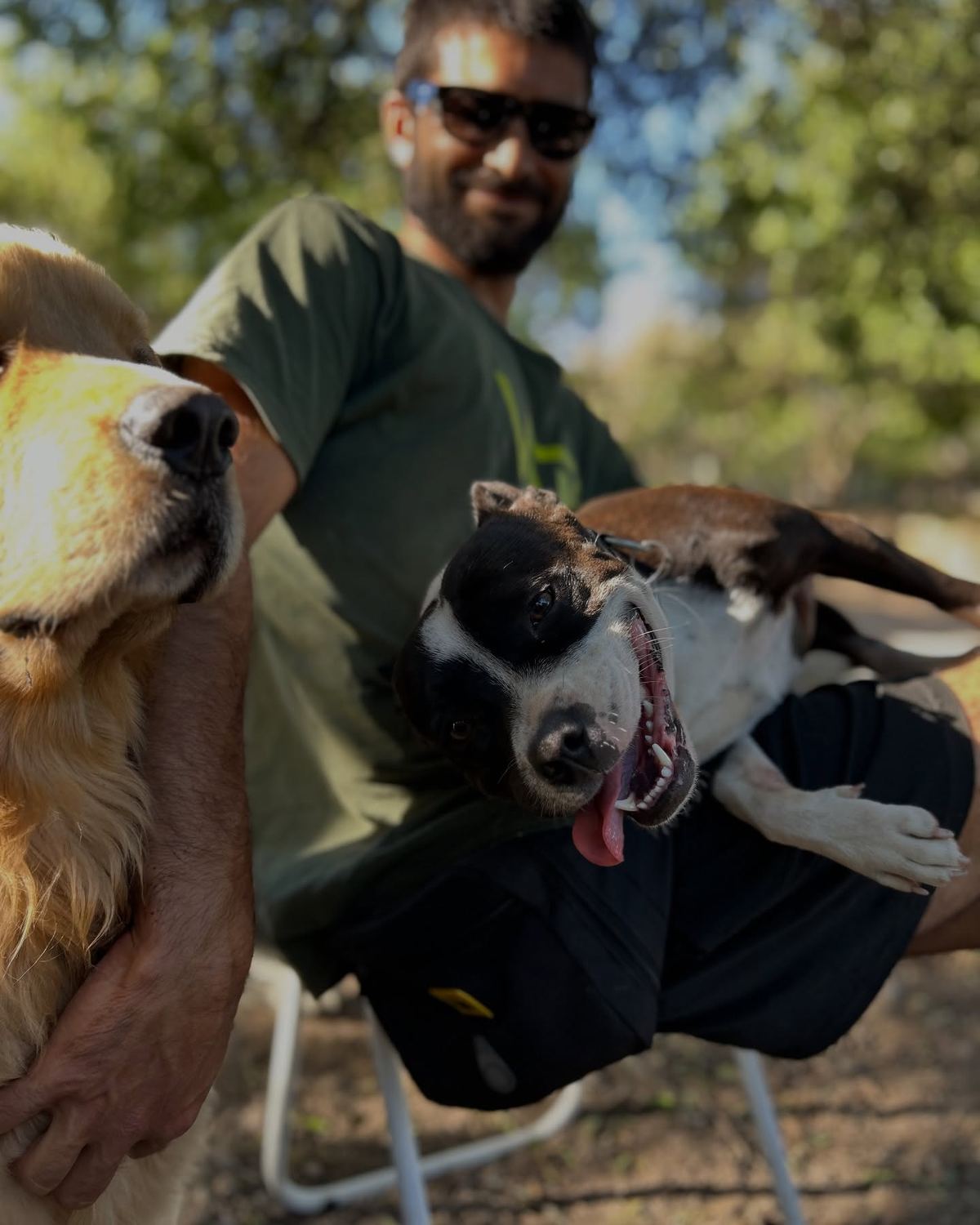 Integrante del equipo de Monte Animal junto a dos perros en las sierras